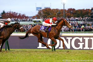 Japan Cup (G1)