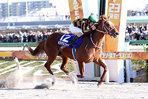 Mozu Ascot in the 2020 February Stakes