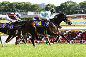 Daring Tact in the 2020 Yushun Himba