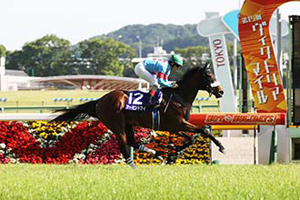 Almond Eye in the 2020 Victoria Mile