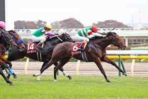 Keio Hai Nisai Stakes (G2)