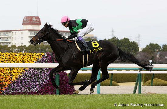 2021.10.22 Kikuka Sho (Japanese St. Leger) (G1) - Comments