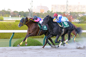 Miyako Stakes (G3)