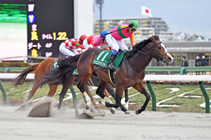 Negishi Stakes (G3)