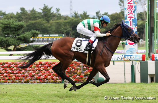 2022.05.06 NHK Mile Cup (G1) - Comments from runners' connections - News - Horse  Racing in Japan