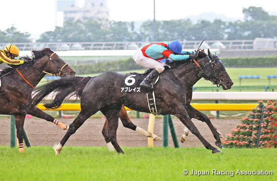 2022.05.13 Victoria Mile (G1) - Comments from runners