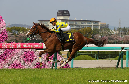 2022.05.20 Yushun Himba (Japanese Oaks) (G1) - Comments from