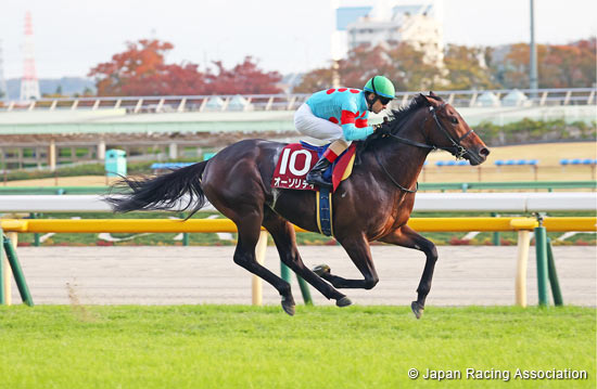 takamasa hosobaRihanna Nakashima Family and their Snohomish County Farm