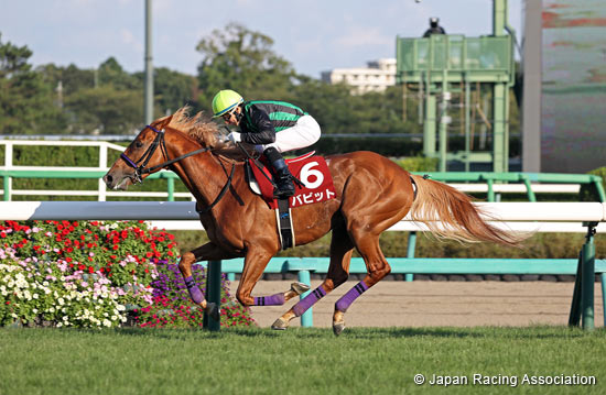 司馬翁　 2022.10.28 Tenno Sho (Autumn) (G1) - Comments from runners