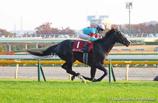 2022.10.28 Tenno Sho (Autumn) (G1) - Comments from runners