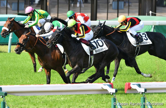 司馬翁　 2022.10.28 Tenno Sho (Autumn) (G1) - Comments from runners