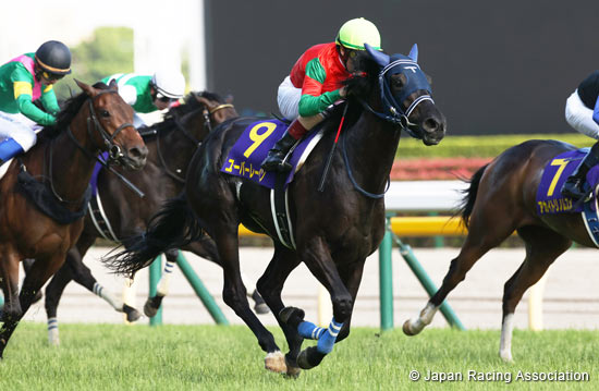 司馬翁　 2022.10.28 Tenno Sho (Autumn) (G1) - Comments from runners