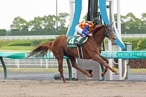 Heian Stakes (G3)