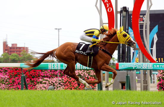 2022.12.20 Arima Kinen (The Grand Prix) (G1) - Preview