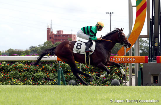 2022.12.26 Hopeful Stakes (G1) - Preview - News - Horse