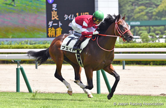 2022.12.26 Hopeful Stakes (G1) - Preview - News - Horse