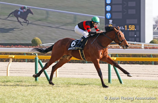 2023.04.14 Satsuki Sho (Japanese 2000 Guineas) (G1