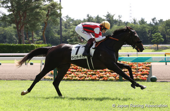 【本日で最終】saby/ HORSE RIDING JACKET 41 Haase Shibayama Takashi Photos & High Res Pictures