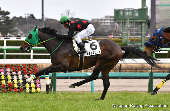 horse ロンT 030.tokyo Rhi Dancey File:Dura Erede Tokyo Yushun 2023(IMG1).jpg - Wikimedia Commons
