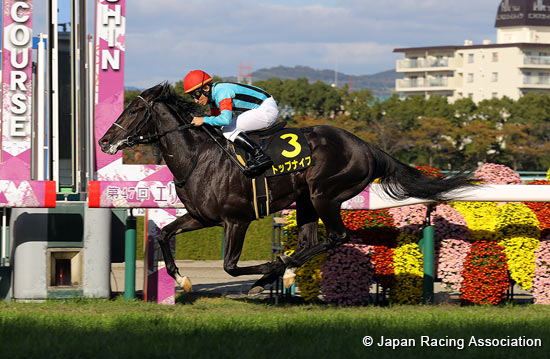 2023.05.23 Tokyo Yushun (Japanese Derby) (G1) - Preview