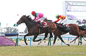 Kyoto Kinen (G2)