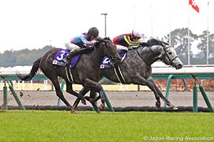 Takamatsunomiya Kinen (G1)