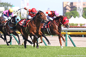 Keio Hai Spring Cup (G2)