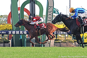 Mainichi Broadcast. Swan Stakes (G2)