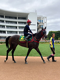 Victor The Winner at Parade Ring 1