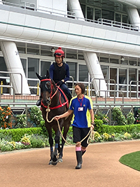 Victor The Winner at Parade Ring 2