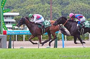 TV Nishinippon Corp. Sho Kitakyushu Kinen (G3)