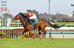 Yukan Fuji Sho Ocean Stakes (G3)