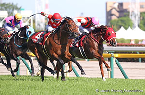 Keio Hai Spring Cup (G2)