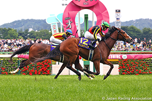 Yushun Himba (Japanese Oaks) (G1)