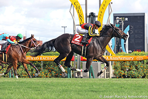 Kansai Telecasting Corp. Sho Rose Stakes (Shuka Sho Trial) (G2)