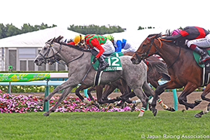 Hokkaido Shimbun Hai Queen Stakes (G3)