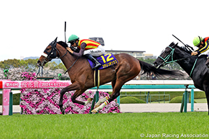 Oka Sho (Japanese 1000 Guineas) (G1)