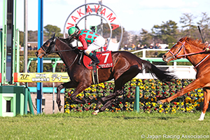 Hochi Hai Yayoi Sho Deep Impact Kinen (Japanese 2000 Guineas Trial) (G2)