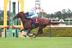 Asahi Hai St. Lite Kinen (Japanese St. Leger Trial) (G2)