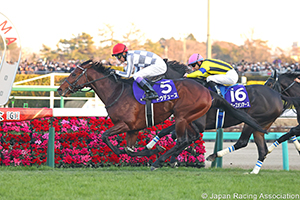 Arima Kinen (The Grand Prix) (G1)