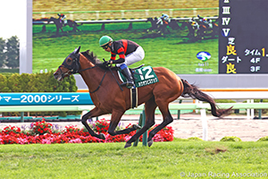 Hakodate Kinen (G3)