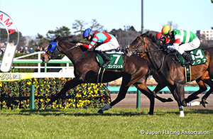 Laurel R.C. Sho Nakayama Himba Stakes (G3)