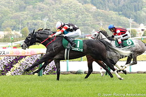 Fukushima Himba Stakes (G3)