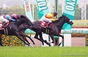 Sankei Sports Sho Flora Stakes (Japanese Oaks Trial) (G2)