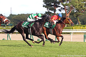 Niigata Kinen (G3)