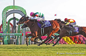 Mile Championship (G1)