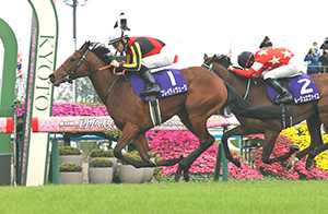 Queen Elizabeth II Cup (G1)