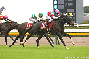 Fuji Stakes (G2)