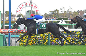 Turquoise Stakes (G3)