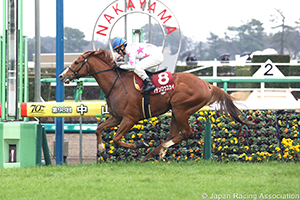 Nakayama Kinen (G2)